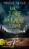 Der Junge, der Rache schwor / Kajsa Coren Bd.1 (eBook, ePUB)