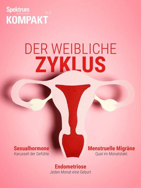 Spektrum Kompakt - Der weibliche Zyklus (eBook, PDF) Spektrum Kompakt - Der weibliche Zyklus (eBook, PDF)