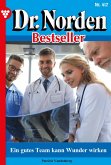 Ein gutes Team kann Wunder wirken (eBook, ePUB)