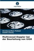 Multivessel-Doppler bei der Beurteilung von IUGR