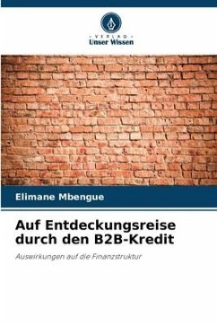 Auf Entdeckungsreise durch den B2B-Kredit - Mbengue, Elimane