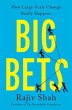 Big Bets - Bild 1