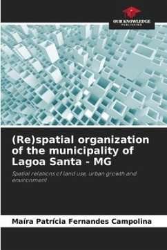 (Re)spatial organization of the municipality of Lagoa Santa - MG - Campolina, Maíra Patrícia Fernandes