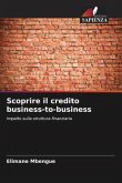 Scoprire il credito business-to-business