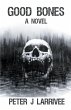 Good Bones - Bild 1