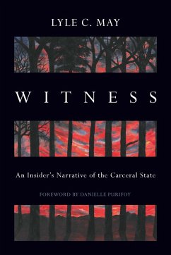 Witness (eBook, ePUB) - May, Lyle C.