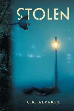 Cover Stolen (eBook, ePUB)