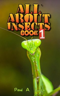 Cover All About Insects (eBook, ePUB)