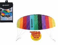 Schildkröt 970450 - Dual Line Sport Kite 1.3, Lenkdrachen, Lenkmatte 2-liner, 125x55cm