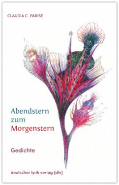 Cover Abendstern zum Morgenstern