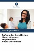 Aufbau der beruflichen Identität eines angehenden Hochschullehrers