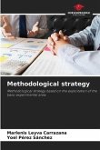 Methodological strategy