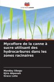 Mycoflore de la canne à sucre utilisant des hydrocarbures dans les zones racinaires