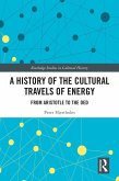 A History of the Cultural Travels of Energy (eBook, PDF)