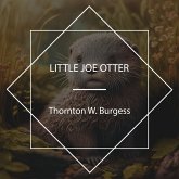 Little Joe Otter (MP3-Download)