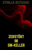 Zerstört im SM-Keller (eBook, ePUB)