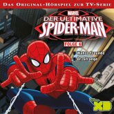 06: Wahre Freunde / Dr. Strange (Hörspiel zur Marvel TV-Serie) (MP3-Download)