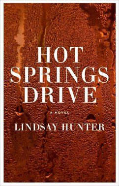 Hot Springs Drive (eBook, ePUB) - Hunter, Lindsay