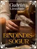 Bindindissögur (eBook, ePUB)