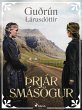 Þrjár smásögur (eBook, ePUB) - Bild 1