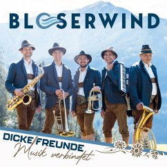 Cover Dicke Freunde-Musik Verbindet-Instrumental