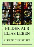 Bilder aus Elias Leben (eBook, ePUB)