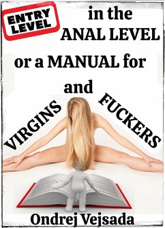 Entry-level in the Anal-level or a Manual for Virgins and Fuckers (eBook, ePUB) - Vejsada, Ondrej