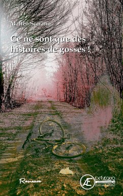 Ce ne sont que des histoires de gosses ! (eBook, ePUB) - Scarano, Mattéo