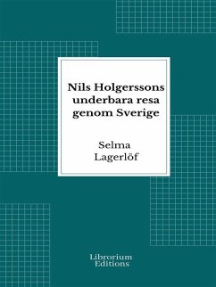Cover Nils Holgerssons underbara resa genom Sverige (eBook, ePUB)