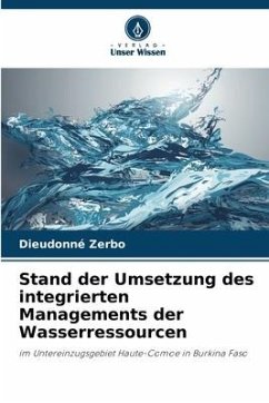 Stand der Umsetzung des integrierten Managements der Wasserressourcen - Zerbo, Dieudonné
