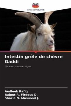 Intestin grêle de chèvre Gaddi - Rafiq, Andleeb;Firdous D., Rajput R.;Masuood J., Shazia N.