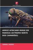 ARROZ AFRICANO MIDGE EM MAROUA (EXTREMO NORTE DOS CAMARÕES)