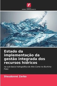 Estado da implementação da gestão integrada dos recursos hídricos - Zerbo, Dieudonné