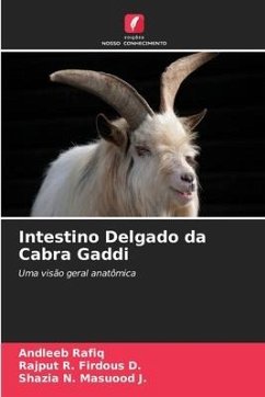 Intestino Delgado da Cabra Gaddi - Rafiq, Andleeb;Firdous D., Rajput R.;Masuood J., Shazia N.