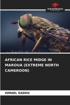 AFRICAN RICE MIDGE IN MAROUA (EXTREME NORTH CAMEROON) - Sadou, Ismael