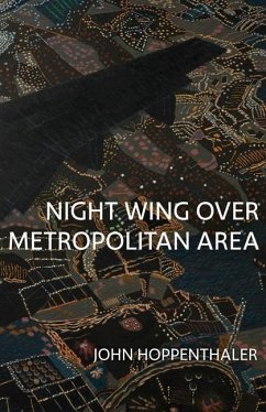 Night Wing over Metropolitan Area - Hoppenthaler, John