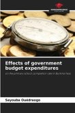 Effects of government budget expenditures