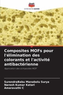 Composites MOFs pour l'élimination des colorants et l'activité antibactérienne - Manabolu Surya, SurendraBabu;Katari, Naresh Kumar;C, Amaravathi