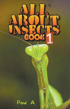 All About Insects - Lynch, Paul A.