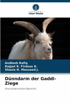 Dünndarm der Gaddi-Ziege - Rafiq, Andleeb;Firdous D., Rajput R.;Masuood J., Shazia N.