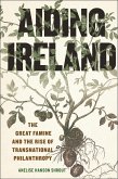 Aiding Ireland (eBook, ePUB)