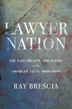 Lawyer Nation (eBook, ePUB) - Brescia, Ray