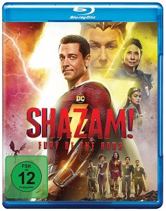 Shazam! Fury of the Gods - Zachary Levi,Asher Angel,Rachel Zegers