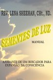 Manual Sementes de luz (eBook, ePUB)