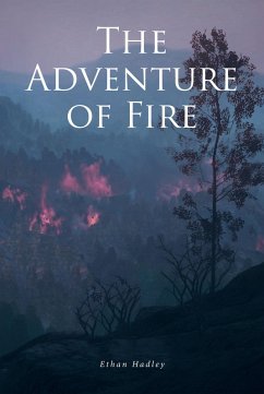 Cover The Adventure of Fire (eBook, ePUB)
