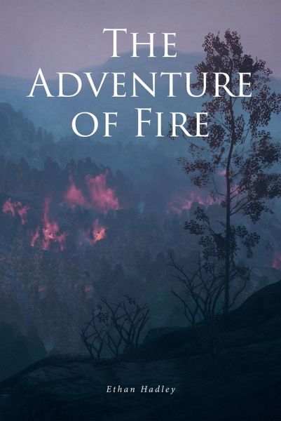 The Adventure of Fire (eBook, ePUB)