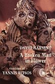 A Broken Man in Flower (eBook, ePUB)