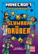 Schwarm drüber / Minecraft Erste... - Bild 1