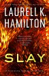 Slay (eBook, ePUB) - Bild 1