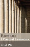 Romans (eBook, ePUB)